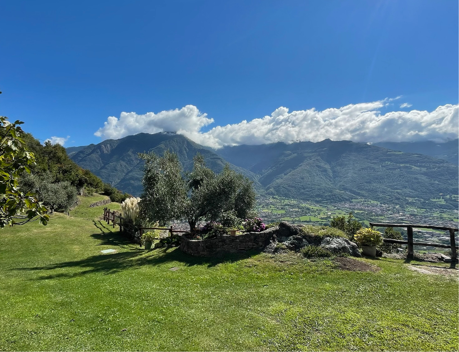 Vista dei prati della tenuta